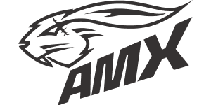 logo 20