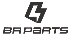 logo 21